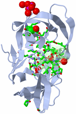 Image Asym./Biol. Unit - sites