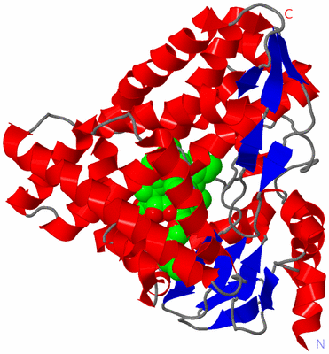 Image Asym./Biol. Unit