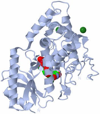 Image Biological Unit 1