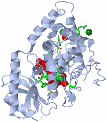 Image Biol. Unit 1 - sites