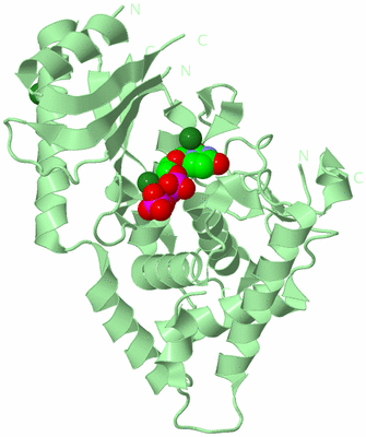 Image Biological Unit 2