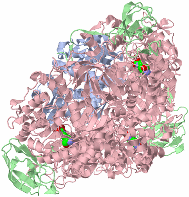 Image Biological Unit 1