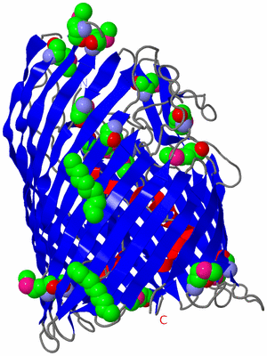 Image Asym./Biol. Unit