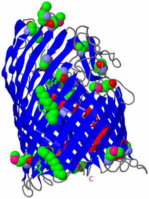 Image Asym./Biol. Unit - sites