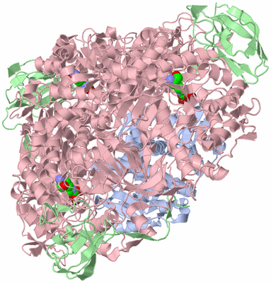 Image Biological Unit 1