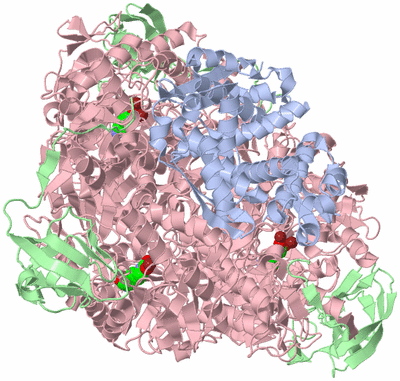 Image Biological Unit 1