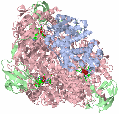 Image Biol. Unit 1 - sites