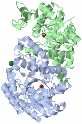 Image Asym./Biol. Unit