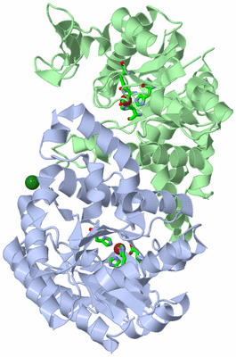 Image Asym./Biol. Unit - sites