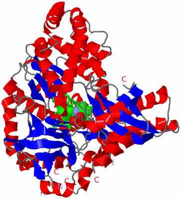 Image Asym. Unit - sites