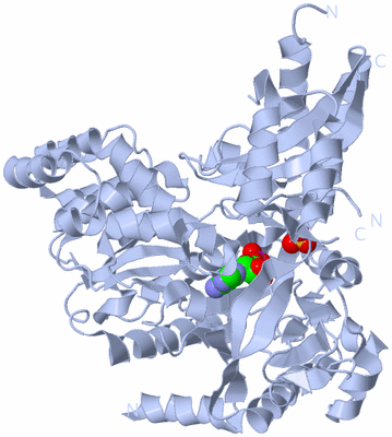 Image Biological Unit 1