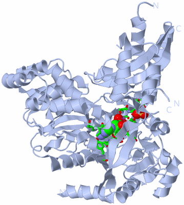 Image Biol. Unit 1 - sites