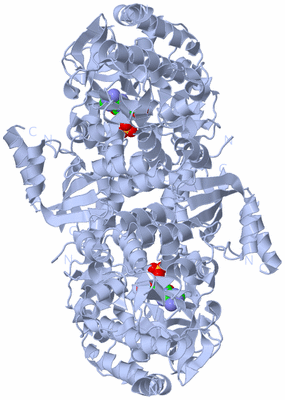 Image Biological Unit 2