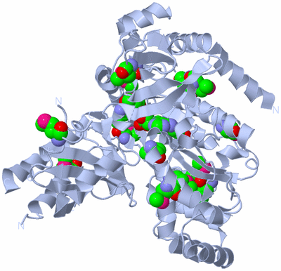 Image Biological Unit 1