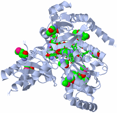 Image Biol. Unit 1 - sites