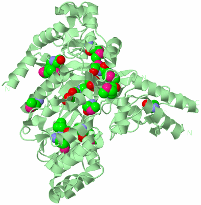 Image Biological Unit 2