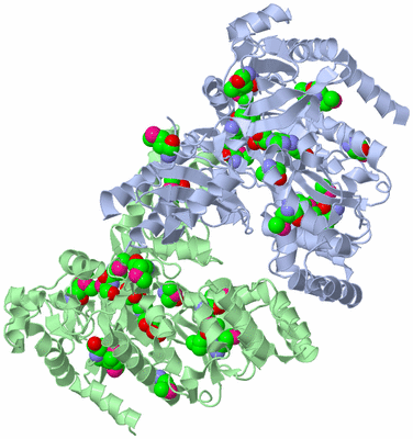 Image Biological Unit 3