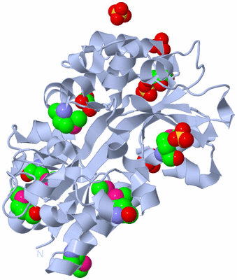 Image Biological Unit 1