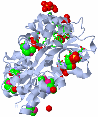 Image Biol. Unit 1 - sites