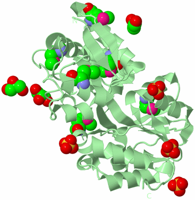 Image Biological Unit 2