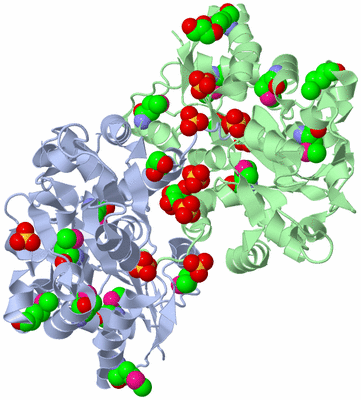 Image Biological Unit 3