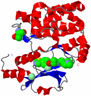 Image Asym./Biol. Unit