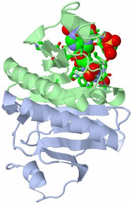 Image Asym./Biol. Unit - sites