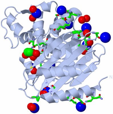 Image Biol. Unit 1 - sites