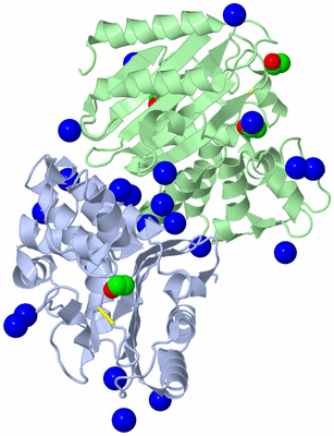 Image Biological Unit 3