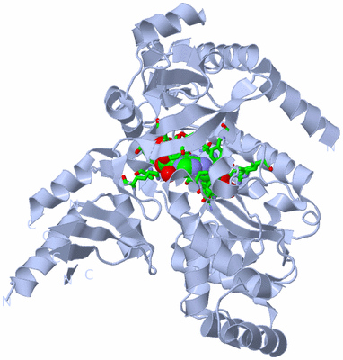 Image Biol. Unit 1 - sites