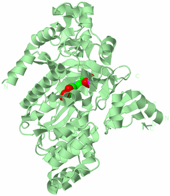 Image Biological Unit 2