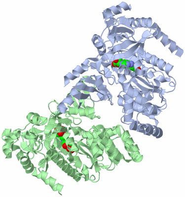 Image Biological Unit 3