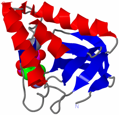 Image Asym./Biol. Unit