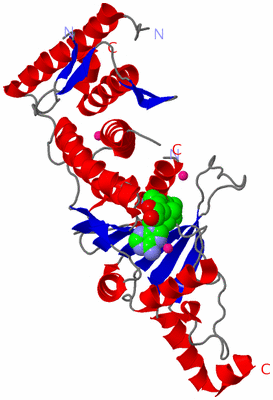 Image Asym./Biol. Unit