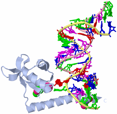 Image Biological Unit 1