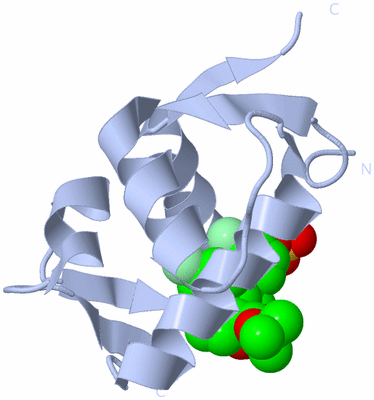 Image Biological Unit 1