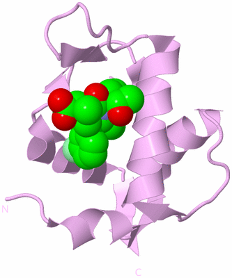 Image Biological Unit 3