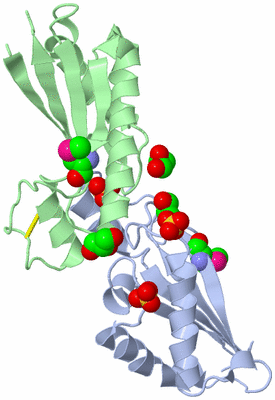 Image Biological Unit 3