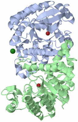 Image Asym./Biol. Unit