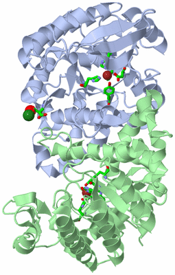 Image Asym./Biol. Unit - sites