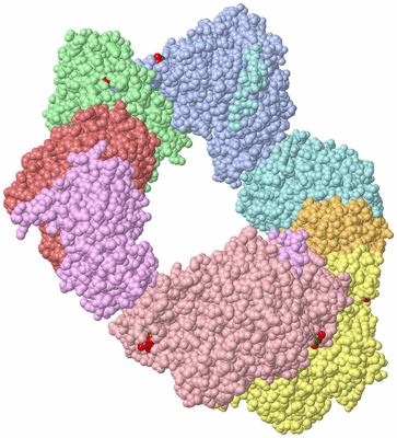 Image Asym./Biol. Unit