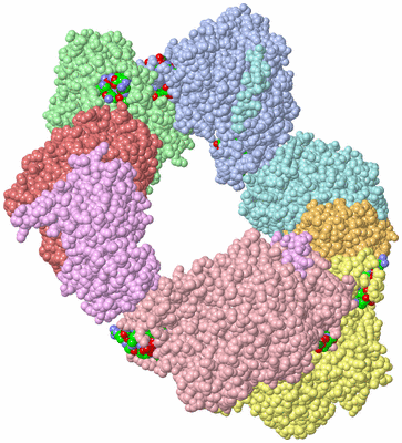 Image Asym./Biol. Unit - sites