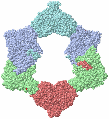 Image Biological Unit 1