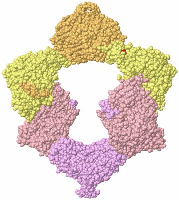 Image Biological Unit 2