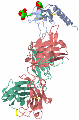 Image Biol. Unit 1 - sites