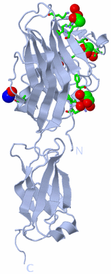 Image Biol. Unit 1 - sites