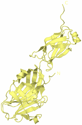 Image Biological Unit 4