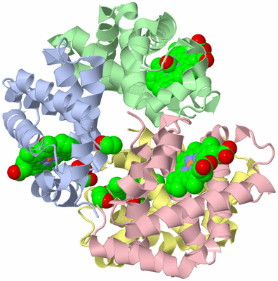 Image Asym./Biol. Unit