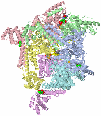 Image Biological Unit 1