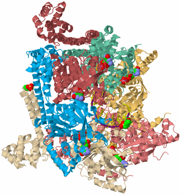 Image Biological Unit 2